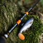 Savage Gear Heavy Lure Outfit Roach
