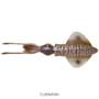 Savage Salt 3D LB Swim Squid Lure 12.5cm Cuttlefish
