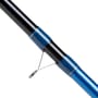 Shakespeare Firebird Match Rod 1
