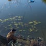 Shimano Forcemaster BX Commercial Float Rods In Use