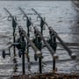 Shimano Tribal TX-2 Carp Fishing Rod In Use 2