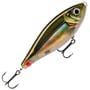 Smelt On The Beach