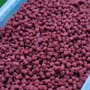 Spotted Fin Sweet Meat Method Ready Fishing Pellets 4mm 2kg Close Up
