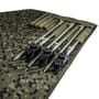 Solar SP C-Tech Bankstick Roll
