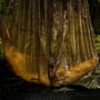 Sonik Xtractor Net 42" (T44) In Use 5