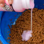 Sonubaits Bait Booster In Use