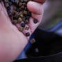 Munch Baits Spod Mix Pellets 1.5kg 4