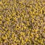 Spotted Fin Banoffee Method Ready Fishing Pellets