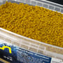 Spotted Fin Classic Corn Method Ready Groundbait With Pellet Mix 2kg Close Up