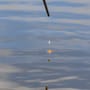 Guru Super Tight Line Squared Stops - White