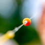 Guru Super Tight Line Squared Stops - White