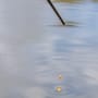 Guru Super Tight Line Squared Stops - Orange