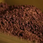 Sticky Baits Bloodworm Session Pack Close Up 1