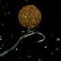Sticky Baits The Krill Active Wafters 4