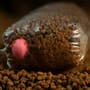 Sticky Baits The Krill Pink Ones 5