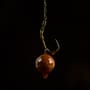 Sticky Baits The Krill Pop-Ups