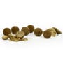 Sticky Manilla Active Freezer Boilies 1