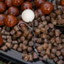Dynamite Baits Session Pack - The Source