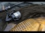 Wychwood Extricator 5000FD