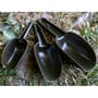 Trakker Bait Scoop Set 12