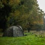 Trakker DPM Tempest Brolly 100 On The Bank 3