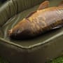 Trakker Sanctuary Crib XL In Use