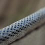 Trakker Sanctuary T3 Landing Net Lifestyle  5