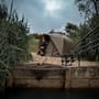 Trakker Tempest Fishing Brolly 100 Skull Cap Wrap In Use 2