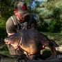 Trakker Trucker Fishing Cap In Use 4