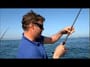 Daiwa Powermesh X Spin Rods