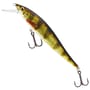 Real Perch
