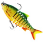 Firetiger Rudd