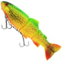 Firetiger Trout