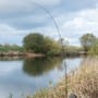 Wychwood Specialist S3 Twin Tip Rod