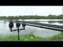 Introducing The Fox Black Label Range Of Rod Support!
