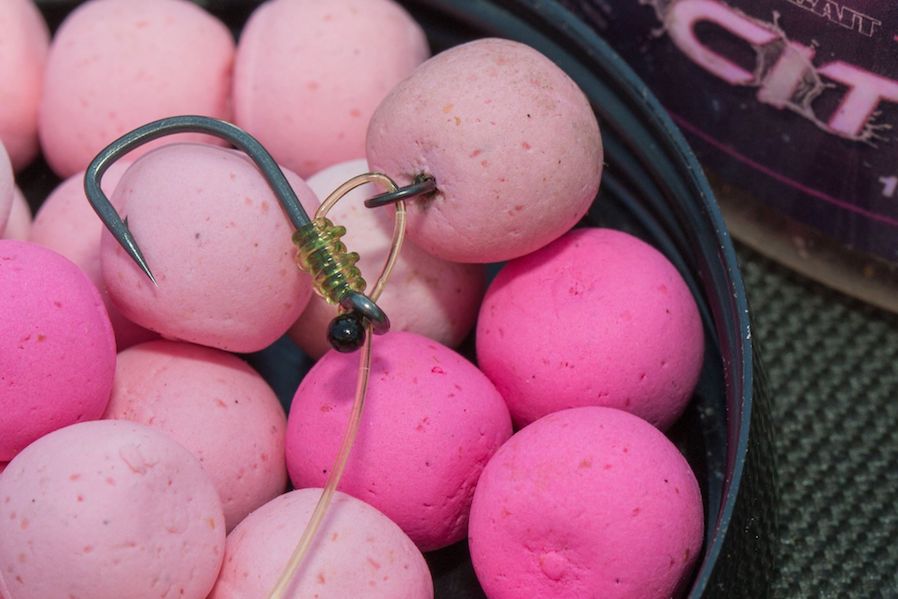 Terminal Tackle Success Stories