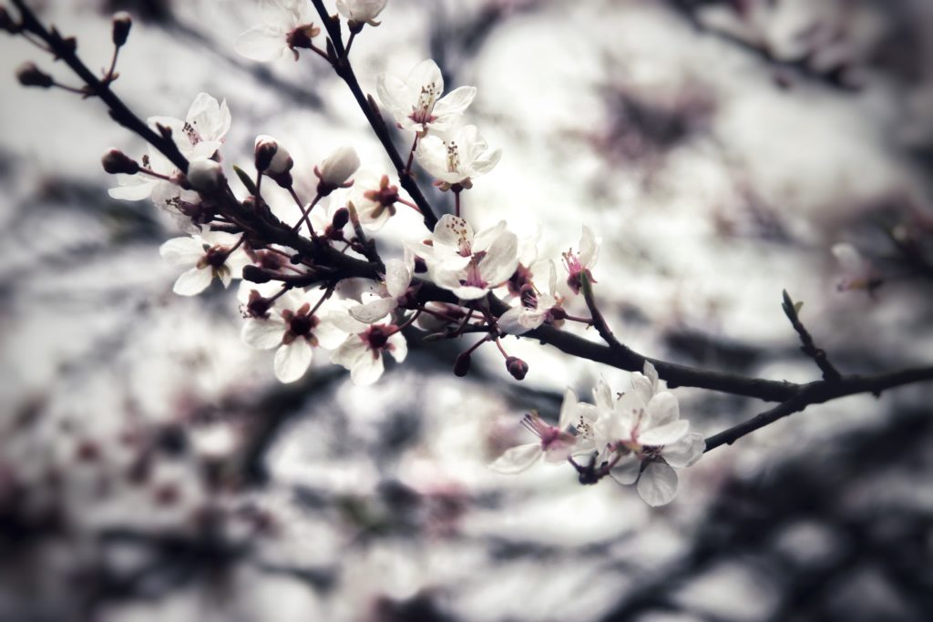 Arezue Wright- Spring Cleaning