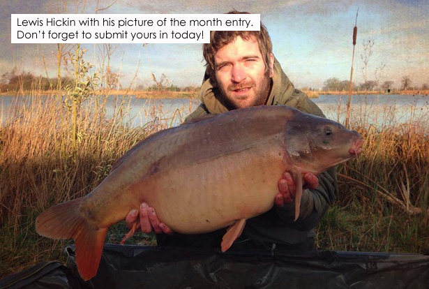 Picture-Of-The-Month-Entry