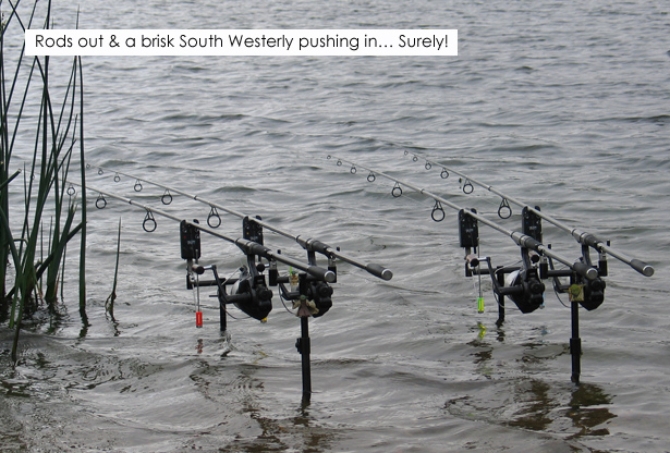 Valley-Of-The-Water-Pigs-8