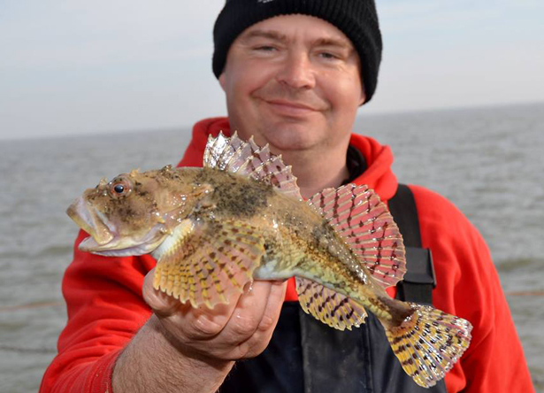 Thornback-Ray-Fishing-4