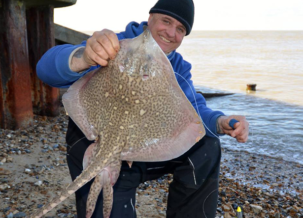 Thornback-Ray-Fishing-8