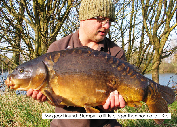 19lb-Stumpy-Carp
