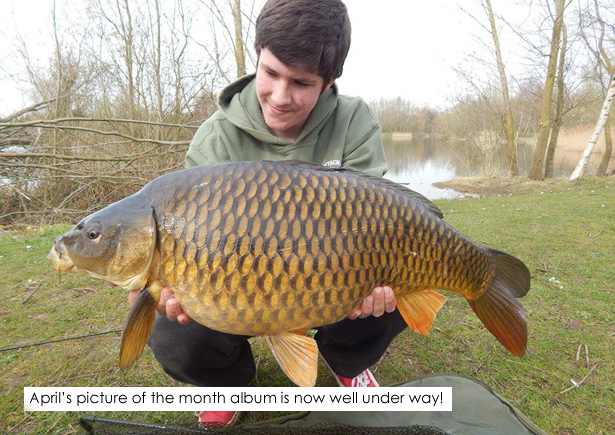 Aprils-picture-of-the-month-album