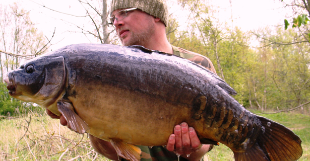 Bank Holiday Bonanza... Michael Stewart