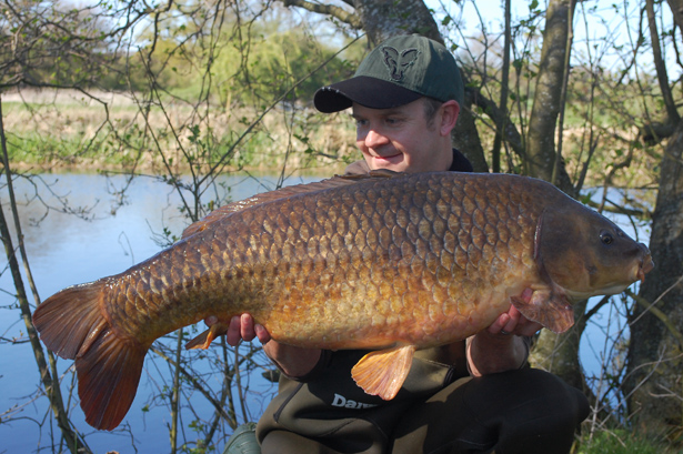 Rob-Shanks-30lb-Common-1