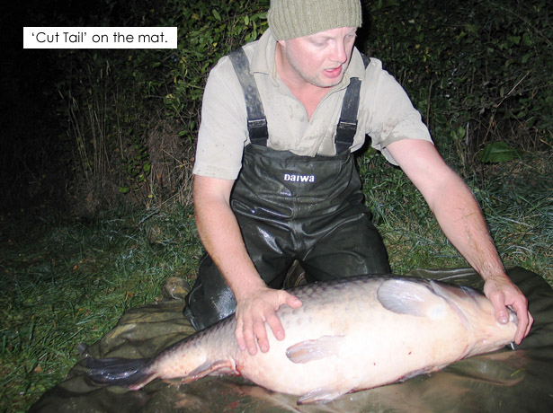 Valley-Of-The-Water-Pigs-8