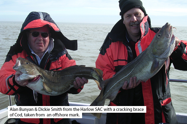 Charter-Blog-October-II