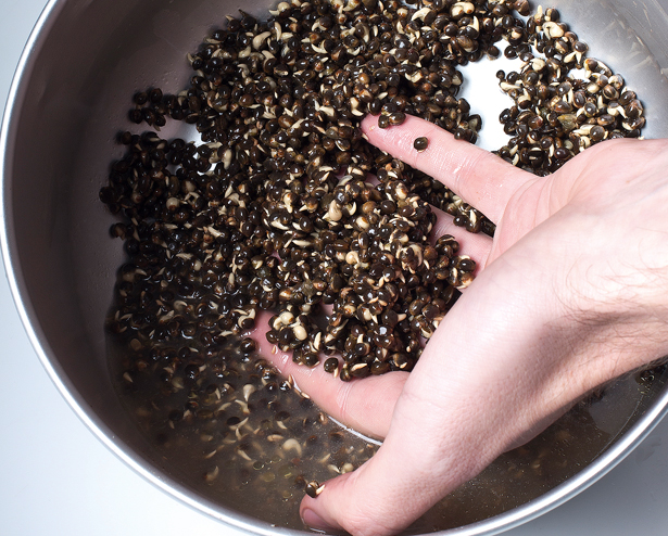 Home Cooked Hemp - 5