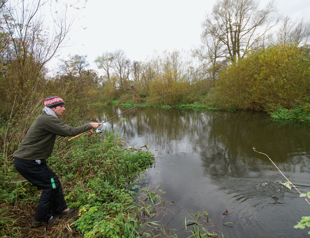 Chub Fishing With Cheese Paste 3