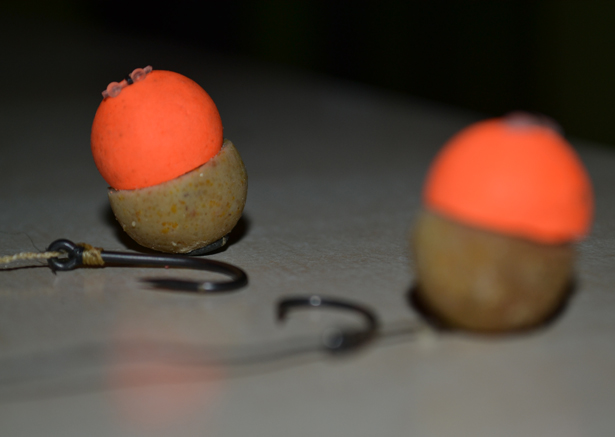 Carp-Fishing-New-Year-Social-5